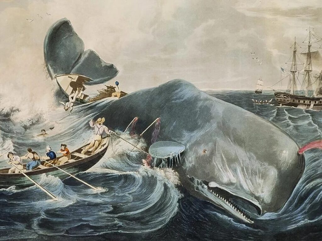 moby dick