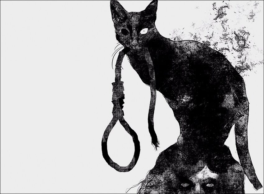 el gato negro
