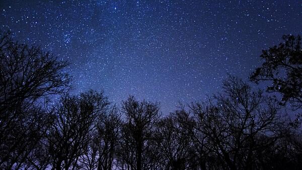 It Was a Night Without Moon or Stars