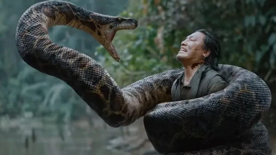 anaconda 2025